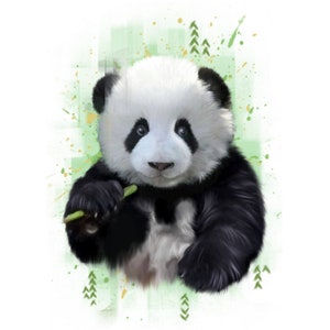 Cassoliv Panda fabric coupon in Oeko-tex cotton poplin 129g/m2