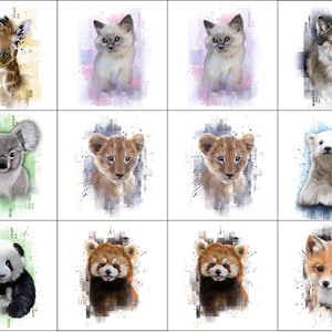 Peut inclure: Un collage de 18 illustrations à l'aquarelle de différents animaux, dont une girafe, un koala, un panda, un panda roux, un loup, un chat, un lion et un ours polaire. Chaque animal est représenté dans un style unique avec un fond aquarelle.