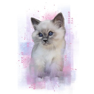 Cassoliv Cat fabric coupon in Oeko-tex cotton poplin 129g/m2