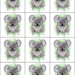Cassoliv Koala fabric panel of 12 or 24 squares of 12x12cm for washable wipes