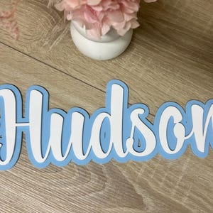 May include: A light blue wooden sign with the name "Hudson" written in white cursive letters.