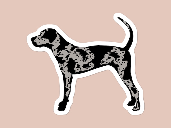 Catahoula sales water dog