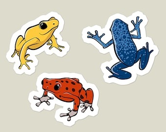 Poison Dart Frog 3 Piece Vinyl Sticker Set | Laptop Stickers | Water Bottle Sticker | Car Decal
