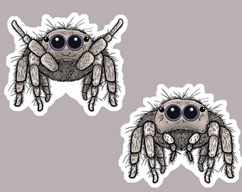 Cute Fuzzy Jumping Spider Vinyl Sticker | Arachnid Laptop Stickers | Water Bottle Sticker | Car Decal