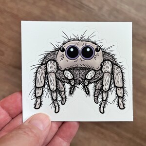May include: A sticker depicting a cartoon jumping spider with large eyes. The spider is light grey with black and white details, and its legs are outstretched. The sticker is held against a wooden surface.