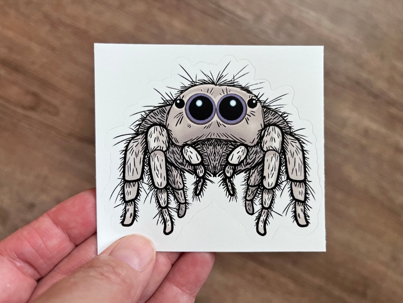 May include: A sticker depicting a cartoon jumping spider with large eyes. The spider is light grey with black and white details, and its legs are outstretched. The sticker is held against a wooden surface.