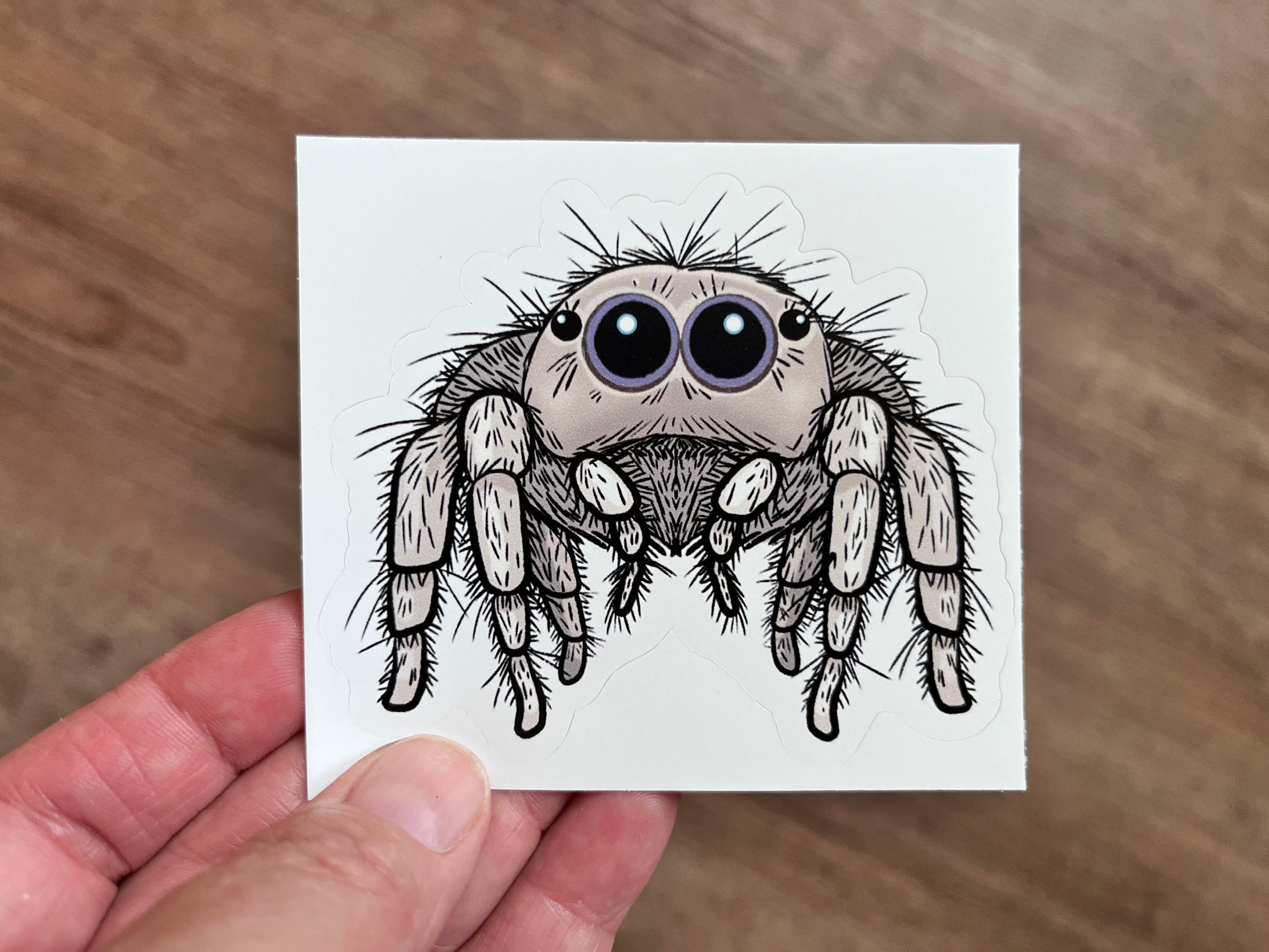 Sticker Spider Rectangular Cute Fuzzy Jumping Spider Vinyl Sticker | Arachnid Laptop Stickers ...
