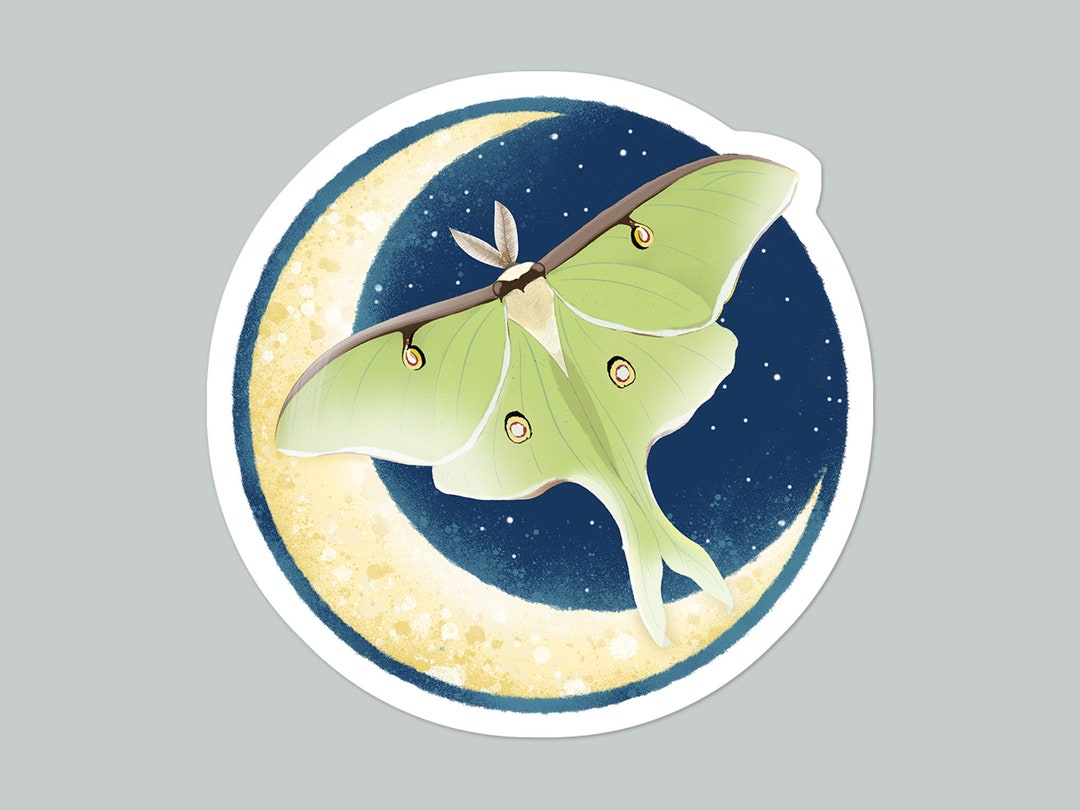 Luna Moth With Crescent Moon and Stars Sticker | Nocturnal Wings Laptop ...