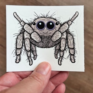 May include: A sticker depicting a cartoon jumping spider. The spider is light grey with black detailing, large black eyes, and a smiling face. The sticker is held against a wooden background.