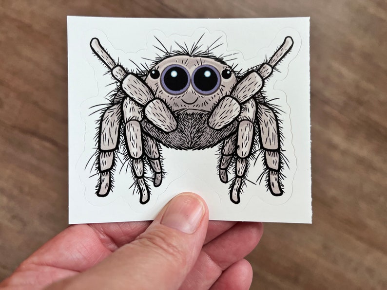 May include: A sticker depicting a cartoon jumping spider. The spider is light grey with black detailing, large black eyes, and a smiling face. The sticker is held against a wooden background.