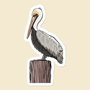 Pelican Perched on Dock Sea Bird Lover Laptop Sticker | Water Bottle Sticker | Car Decal
