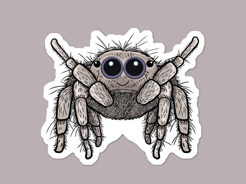 May include: A sticker depicting a cartoon jumping spider. The spider has a round body, large blue eyes, and grey, segmented legs. The design is outlined in black, with a white border, and is set against a grey background.