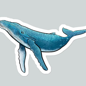 Humpback Whale Vinyl Sticker: Ocean Life, Laptop Decal