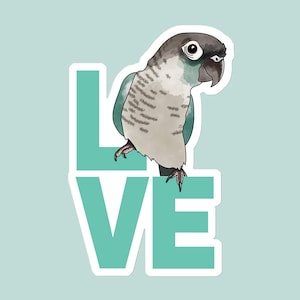 May include: A teal blue and gray Quaker parrot perched on the letter "E" of the word "LOVE" in a teal blue font.
