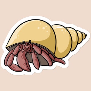 Hermit Crab Vinyl Sticker | Laptop Sticker | Water Bottle Sticker | Car Decal