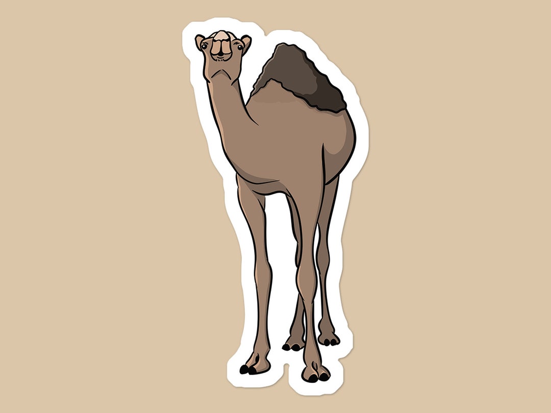 Dromedary Camel Vinyl Sticker | Animal Lover Laptop Sticker | Water ...