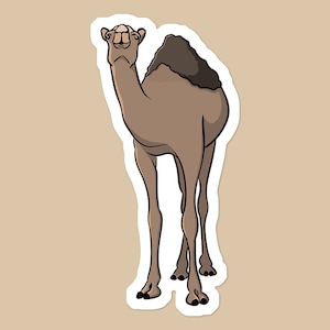 Desert Camel Sticker: Waterproof Vinyl Decal for Laptop or Water Bottle