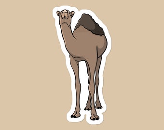 Desert Camel Sticker: Waterproof Vinyl Decal for Laptop or Water Bottle