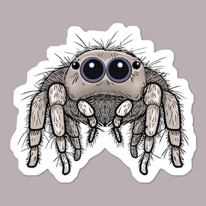 May include: A sticker depicting a cartoon jumping spider. The spider has a light grey body, large black eyes with purple highlights, and hairy legs. The sticker is outlined in white against a grey background.