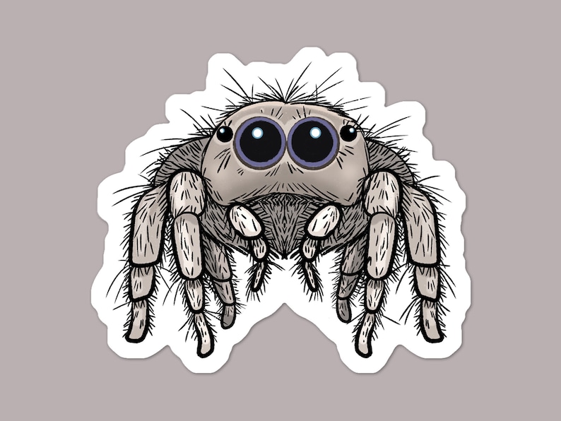 May include: A sticker depicting a cartoon jumping spider. The spider has a light grey body, large black eyes with purple highlights, and hairy legs. The sticker is outlined in white against a grey background.