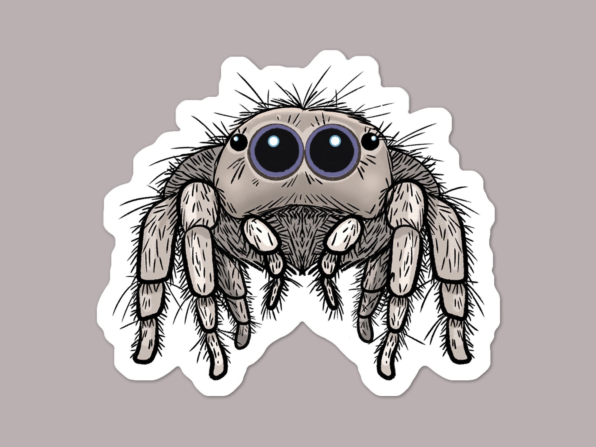 Cute Fuzzy Jumping Spider Vinyl Sticker | Arachnid Laptop Stickers ...