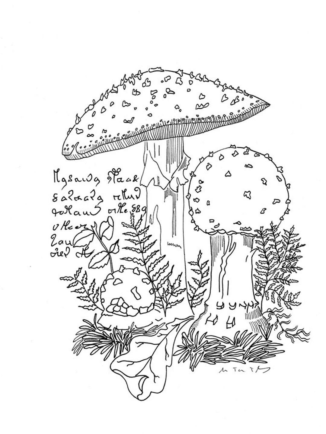 Coloring Pages Ancient Medicinal Plants, Digital Download, Mushroom