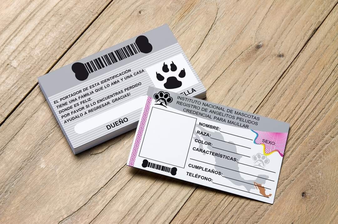 Credencial - Etsy México Credencial - Etsy México