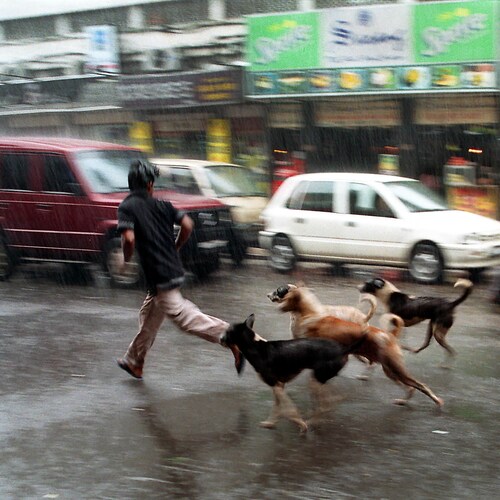Kolkata Rain Photography, Calcutta Street Photography, India