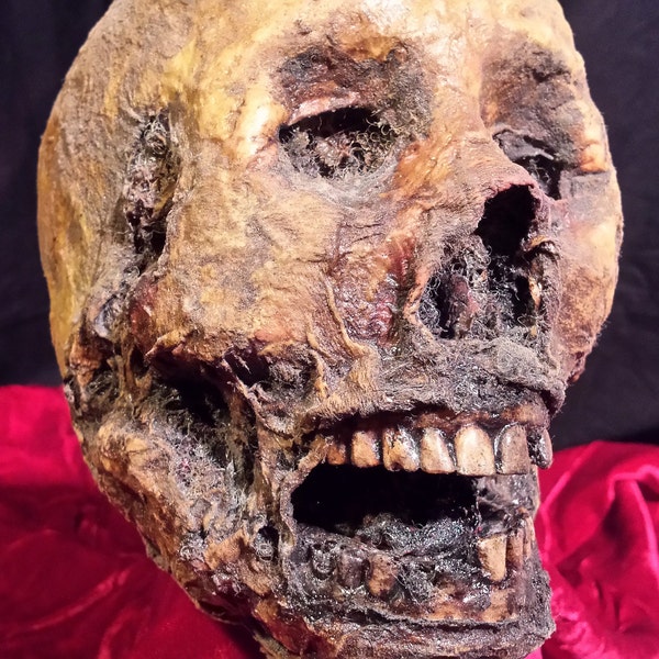 Zombie Corpse Head Sideshow Oddity Skull