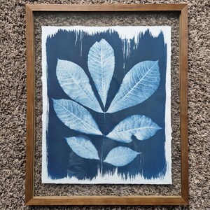 May include: A framed botanical print featuring a cyanotype of leaves. The leaves are arranged in a symmetrical pattern against a dark blue background. The print is encased in a natural wood frame, creating a rustic aesthetic.