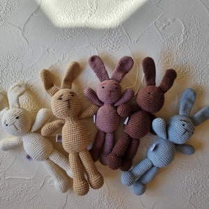 Bunny Crochet Amigurumi
