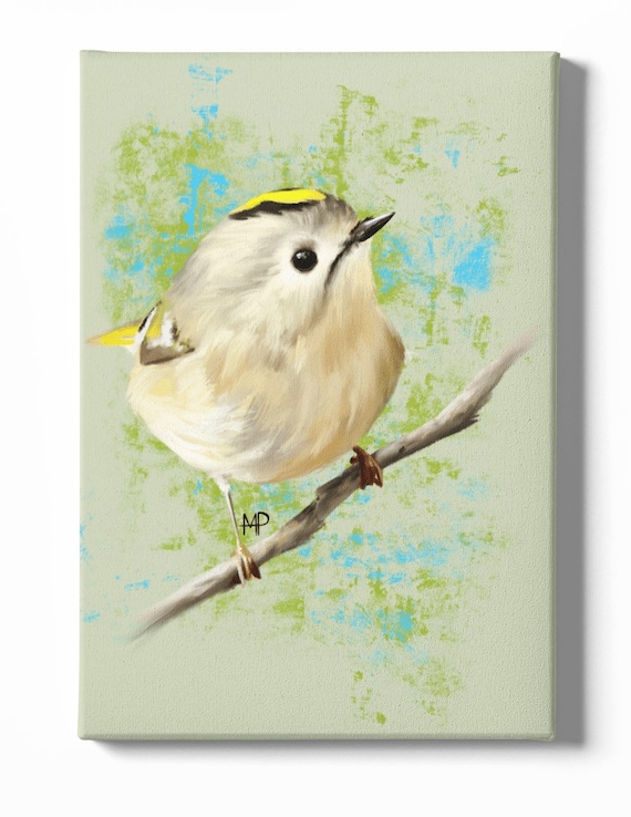 Little King, The goldcrest is called the king of the birds…