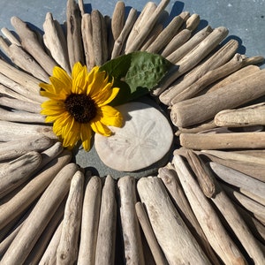 May include: A decorative arrangement featuring a bright yellow sunflower with a dark brown center, a green leaf, and a sand dollar, surrounded by numerous pieces of driftwood. The driftwood is arranged in a circular pattern.