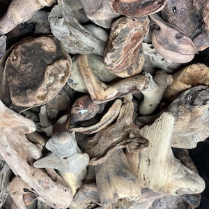 3”-7” driftwood pieces, natural hand gathered ocean driftwood