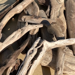 May include: A collection of weathered driftwood pieces in various shapes and sizes. The wood has a natural, light brown color with visible grain and texture. Some pieces are smooth, while others have knots and rough edges, suggesting they were shaped by the sea.