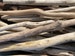 Bundle of 10”-16” long pieces California Coast Driftwood, bulk driftwood for DIY crafts macramé Driftwood 