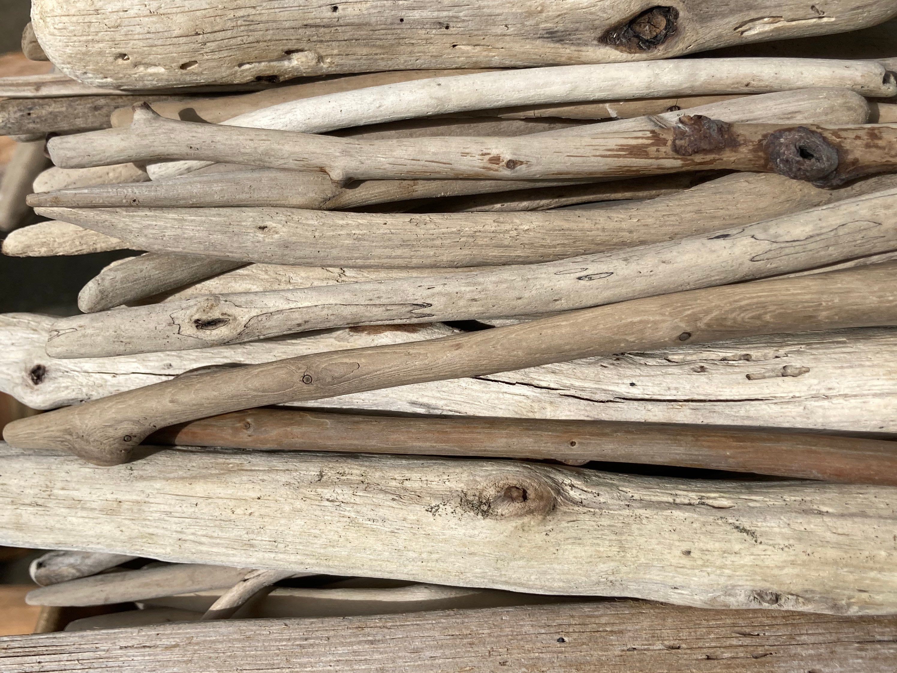 Bundle of  6”-12” long California Coast Driftwood, bulk driftwood for DIY crafts macramé Driftwood