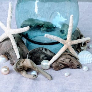 May include: A clear blue glass vase with a round shape, surrounded by white starfish, pearls, seashells, and driftwood. The arrangement is set on a light purple surface, creating a coastal theme.