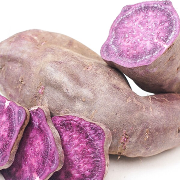 Okinawan Sweet Potato Slips Etsy