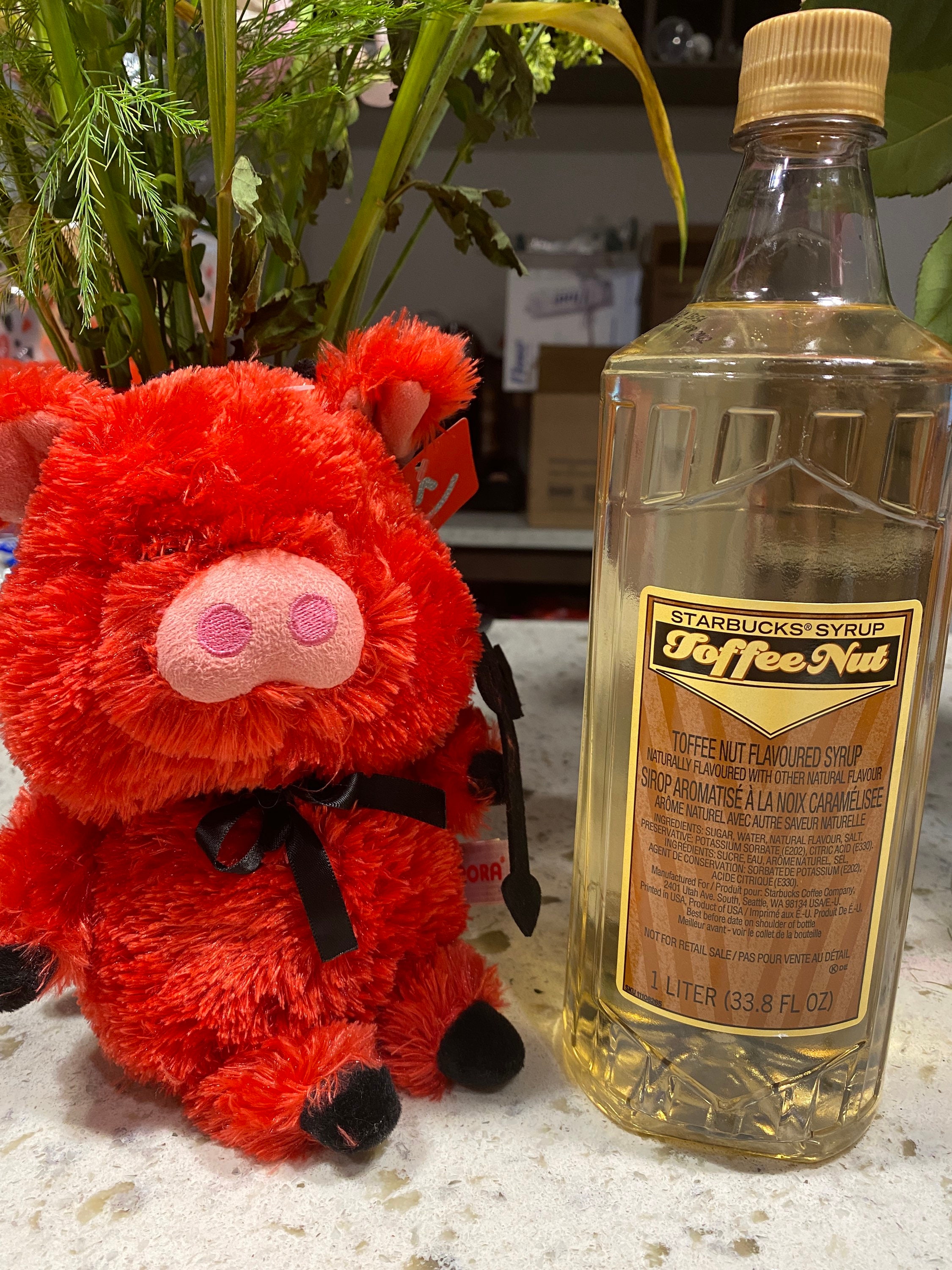 Starbucks Toffee Nut Syrup Gift Set Etsy