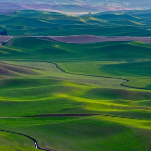 La Palouse, fotografía de paisaje, descarga digital, imprímela tú mismo