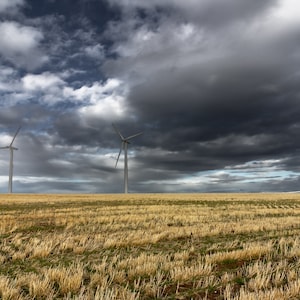 Puede incluir: Un campo de hierba seca con cuatro aerogeneradores en la distancia. El cielo está cubierto de nubes oscuras.