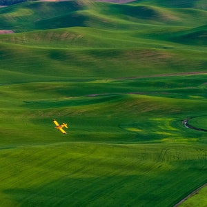 Campos de trigo ondulados, avión fumigador, Palouse, descarga digital, fotografía de paisajes