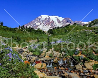 Mt. Rainier, Washington Landscape Photography, Paradise Washington, Nature Wall Art, Digital Photo Download, Print it Yourself