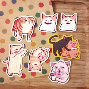 Pegatinas mate con memes aleatorios de gatos borrachos y lindos / animales