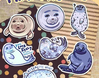Puede incluir: Una colección de seis pegatinas ilustradas de focas con diversas expresiones y poses. El texto incluye "PHAT PHÖQUES", "YOU LOOK SEALY NO LIKE SEALIOUSLY UGLY", "FEED ME" y "ABSEALÜTE UNIT". Las focas están representadas en tonos azules, grises y crema.