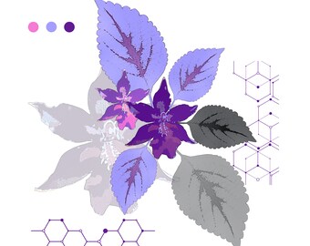 Fioletowy kwiatowy nadruk: abstrakcyjna orchidea i koleus, sztuka geometryczna (pobranie cyfrowe)