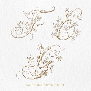 May include: Three intricate, hand-drawn, gold-colored twig designs with leaves. The designs are stylized and resemble a font. The text "SVG-3 TOTAL: DRY TWIG FONT" is at the bottom of the image.