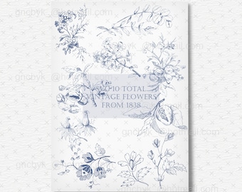 Vintage Floral Vector Clip Art: 1838 Botanical Flower Border (SVG Bundle)