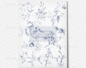 Vintage Floral Vector Clip Art: 1838 Botanical Flower Border (SVG Bundle)